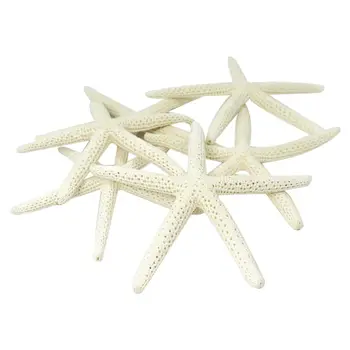 12PCS White Finger Starfish 5-10cm Декоративна петпръстова морска звезда