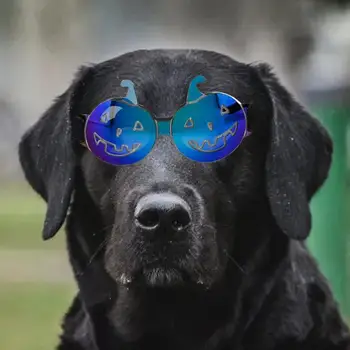 Регулируеми очила за домашни любимци Очила за домашни любимци за кучета Стилни слънчеви очила за кучета Ветроупорна анти-мъгла UV защита за малки и средни породи